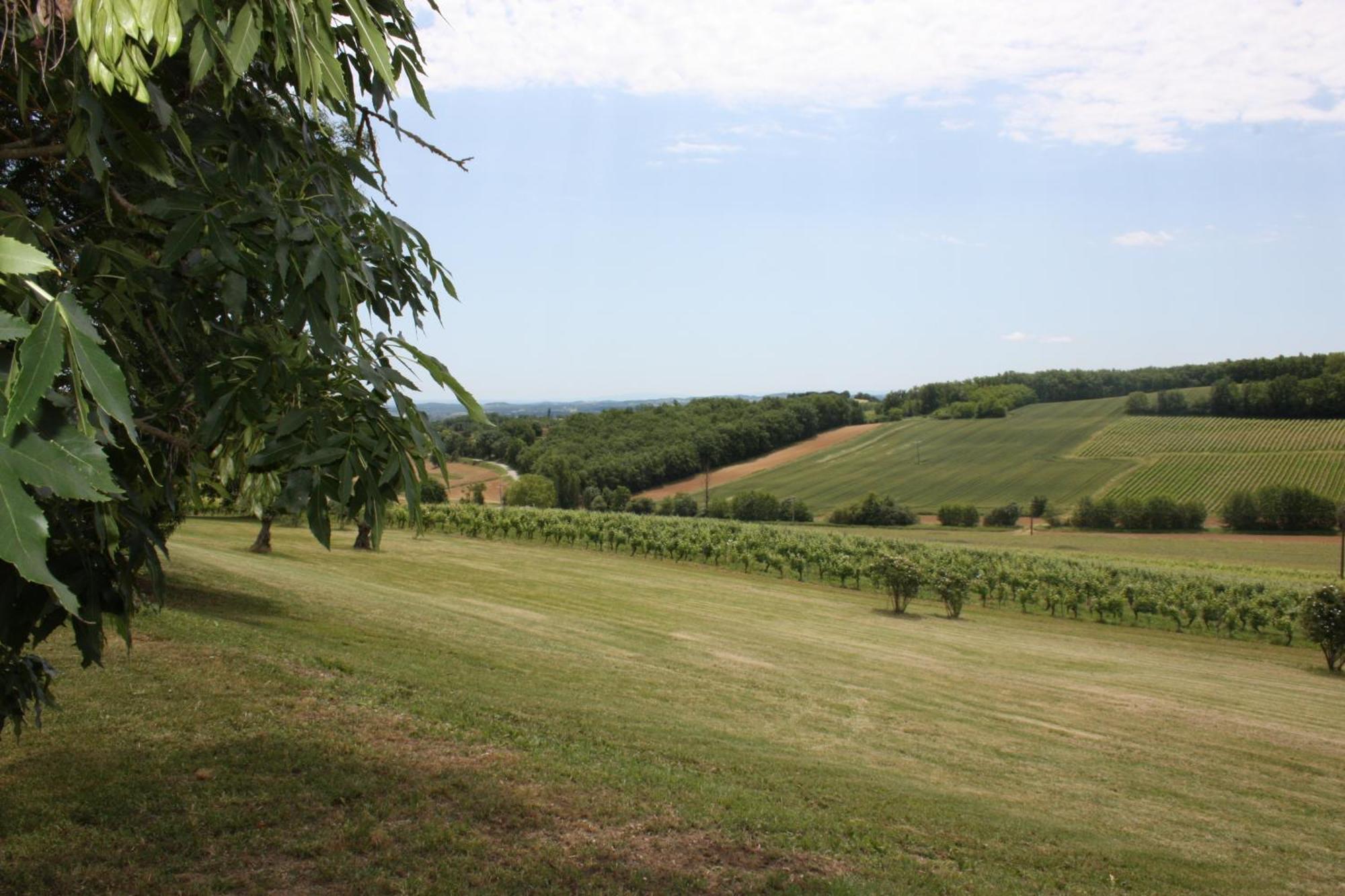 Domaine De Perches Bed & Breakfast Gaillac Eksteriør bilde
